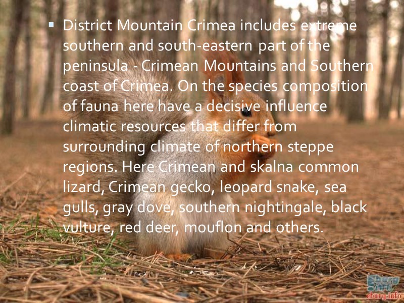 District Mountain Crimea includes extreme southern and south-eastern part of the peninsula - Crimean